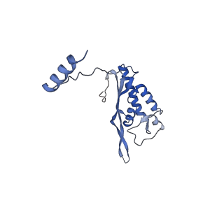 14921_7zrs_BO_v1-1
Structure of the RQT-bound 80S ribosome from S. cerevisiae (C2) - composite map