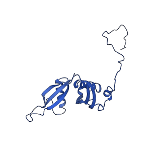 14921_7zrs_BR_v1-1
Structure of the RQT-bound 80S ribosome from S. cerevisiae (C2) - composite map