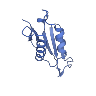 14921_7zrs_BT_v1-1
Structure of the RQT-bound 80S ribosome from S. cerevisiae (C2) - composite map