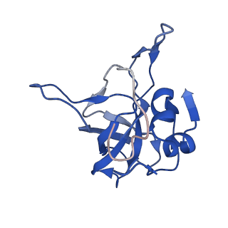 14921_7zrs_BU_v1-1
Structure of the RQT-bound 80S ribosome from S. cerevisiae (C2) - composite map