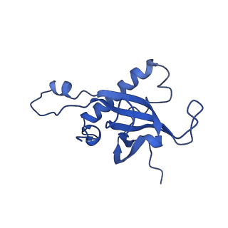 14921_7zrs_BY_v1-1
Structure of the RQT-bound 80S ribosome from S. cerevisiae (C2) - composite map