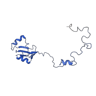 14921_7zrs_BZ_v1-1
Structure of the RQT-bound 80S ribosome from S. cerevisiae (C2) - composite map