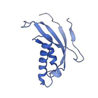 14921_7zrs_Bc_v1-1
Structure of the RQT-bound 80S ribosome from S. cerevisiae (C2) - composite map