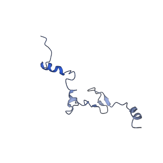 14921_7zrs_Bi_v1-1
Structure of the RQT-bound 80S ribosome from S. cerevisiae (C2) - composite map