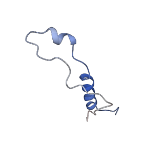 14921_7zrs_Bk_v1-1
Structure of the RQT-bound 80S ribosome from S. cerevisiae (C2) - composite map