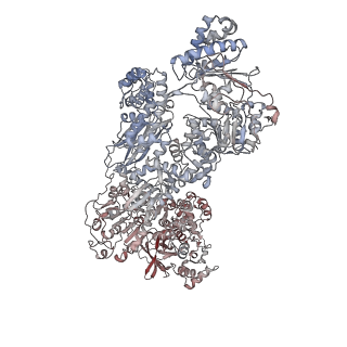 14921_7zrs_CA_v1-1
Structure of the RQT-bound 80S ribosome from S. cerevisiae (C2) - composite map