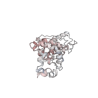 14921_7zrs_CB_v1-1
Structure of the RQT-bound 80S ribosome from S. cerevisiae (C2) - composite map