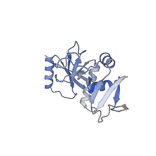 14923_7zrz_AP1_v1-3
Structure of the human tRNA splicing endonuclease defines substrate recognition