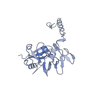 14923_7zrz_CP1_v1-3
Structure of the human tRNA splicing endonuclease defines substrate recognition