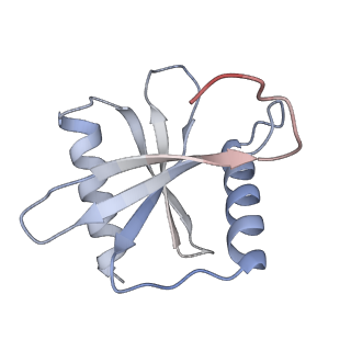 14923_7zrz_DP1_v1-3
Structure of the human tRNA splicing endonuclease defines substrate recognition