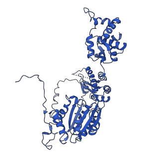 6941_5zr1_A_v1-1
Saccharomyces Cerevisiae Origin Recognition Complex Bound to a 72-bp Origin DNA containing ACS and B1 element