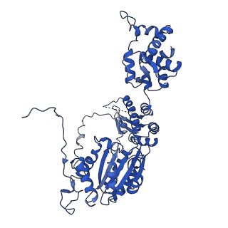 6941_5zr1_A_v1-2
Saccharomyces Cerevisiae Origin Recognition Complex Bound to a 72-bp Origin DNA containing ACS and B1 element