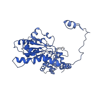 6941_5zr1_B_v1-1
Saccharomyces Cerevisiae Origin Recognition Complex Bound to a 72-bp Origin DNA containing ACS and B1 element
