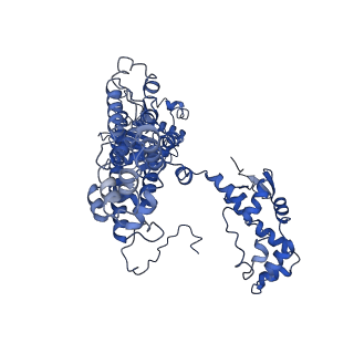 6941_5zr1_C_v1-1
Saccharomyces Cerevisiae Origin Recognition Complex Bound to a 72-bp Origin DNA containing ACS and B1 element