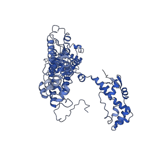 6941_5zr1_C_v1-2
Saccharomyces Cerevisiae Origin Recognition Complex Bound to a 72-bp Origin DNA containing ACS and B1 element