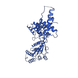6941_5zr1_D_v1-1
Saccharomyces Cerevisiae Origin Recognition Complex Bound to a 72-bp Origin DNA containing ACS and B1 element