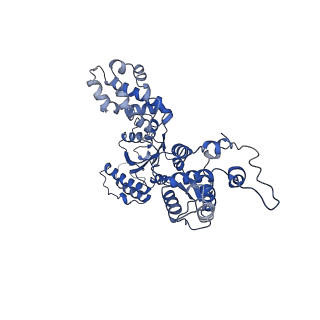 6941_5zr1_E_v1-1
Saccharomyces Cerevisiae Origin Recognition Complex Bound to a 72-bp Origin DNA containing ACS and B1 element