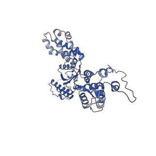 6941_5zr1_E_v1-2
Saccharomyces Cerevisiae Origin Recognition Complex Bound to a 72-bp Origin DNA containing ACS and B1 element