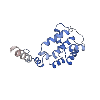 6941_5zr1_F_v1-1
Saccharomyces Cerevisiae Origin Recognition Complex Bound to a 72-bp Origin DNA containing ACS and B1 element