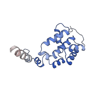 6941_5zr1_F_v1-2
Saccharomyces Cerevisiae Origin Recognition Complex Bound to a 72-bp Origin DNA containing ACS and B1 element