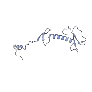 11390_6zs9_0_v1-0
Human mitochondrial ribosome in complex with ribosome recycling factor
