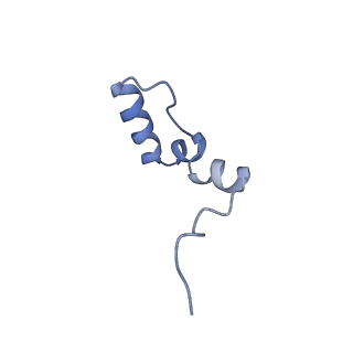 11390_6zs9_2_v1-0
Human mitochondrial ribosome in complex with ribosome recycling factor