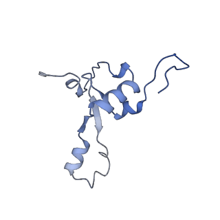 11390_6zs9_3_v1-0
Human mitochondrial ribosome in complex with ribosome recycling factor