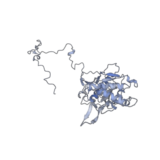 11390_6zs9_5_v1-0
Human mitochondrial ribosome in complex with ribosome recycling factor