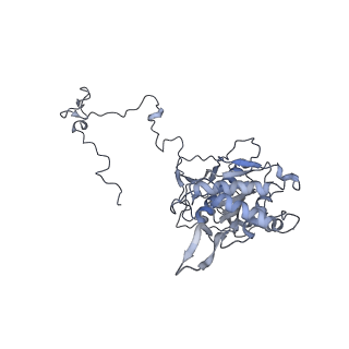 11390_6zs9_5_v2-0
Human mitochondrial ribosome in complex with ribosome recycling factor