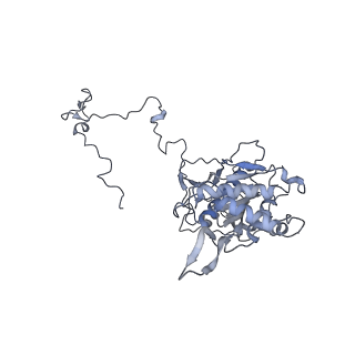11390_6zs9_5_v3-0
Human mitochondrial ribosome in complex with ribosome recycling factor