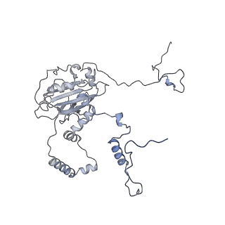 11390_6zs9_6_v2-0
Human mitochondrial ribosome in complex with ribosome recycling factor