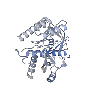 11390_6zs9_7_v1-0
Human mitochondrial ribosome in complex with ribosome recycling factor