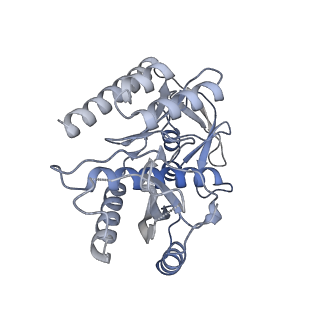 11390_6zs9_7_v2-0
Human mitochondrial ribosome in complex with ribosome recycling factor