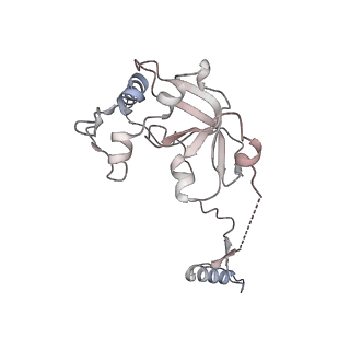 11390_6zs9_A0_v1-0
Human mitochondrial ribosome in complex with ribosome recycling factor