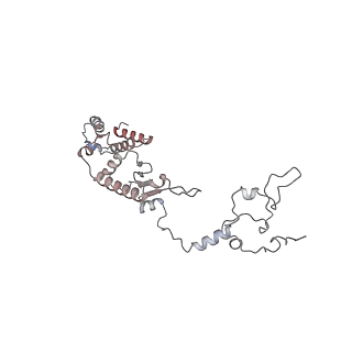 11390_6zs9_A1_v1-0
Human mitochondrial ribosome in complex with ribosome recycling factor