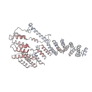 11390_6zs9_A4_v1-0
Human mitochondrial ribosome in complex with ribosome recycling factor