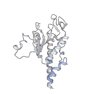 11390_6zs9_AB_v1-0
Human mitochondrial ribosome in complex with ribosome recycling factor