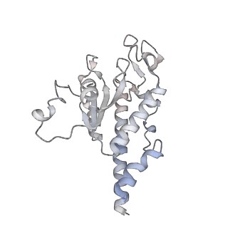 11390_6zs9_AB_v2-0
Human mitochondrial ribosome in complex with ribosome recycling factor