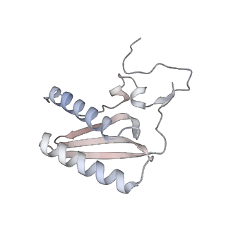 11390_6zs9_AC_v1-0
Human mitochondrial ribosome in complex with ribosome recycling factor