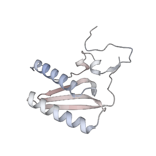 11390_6zs9_AC_v2-0
Human mitochondrial ribosome in complex with ribosome recycling factor