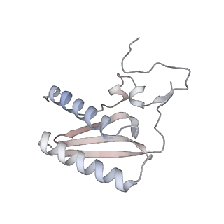 11390_6zs9_AC_v3-0
Human mitochondrial ribosome in complex with ribosome recycling factor