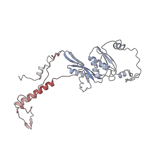 11390_6zs9_AD_v1-0
Human mitochondrial ribosome in complex with ribosome recycling factor