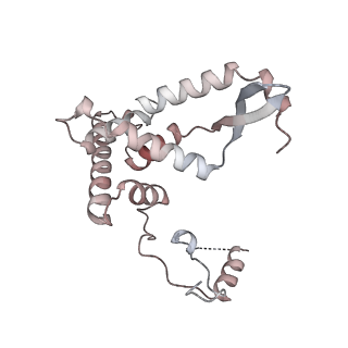 11390_6zs9_AF_v1-0
Human mitochondrial ribosome in complex with ribosome recycling factor