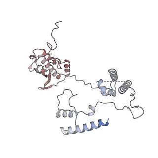 11390_6zs9_AG_v1-0
Human mitochondrial ribosome in complex with ribosome recycling factor