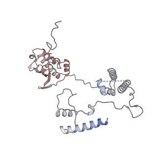 11390_6zs9_AG_v3-0
Human mitochondrial ribosome in complex with ribosome recycling factor