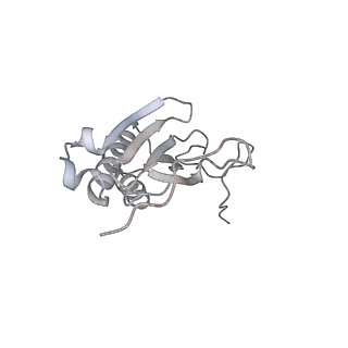11390_6zs9_AI_v1-0
Human mitochondrial ribosome in complex with ribosome recycling factor