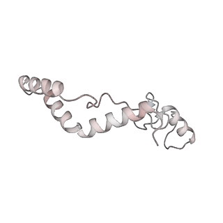 11390_6zs9_AK_v1-0
Human mitochondrial ribosome in complex with ribosome recycling factor