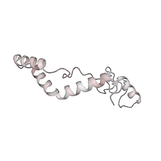 11390_6zs9_AK_v3-0
Human mitochondrial ribosome in complex with ribosome recycling factor