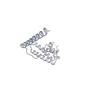 11390_6zs9_AL_v1-0
Human mitochondrial ribosome in complex with ribosome recycling factor