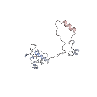 11390_6zs9_AO_v1-0
Human mitochondrial ribosome in complex with ribosome recycling factor